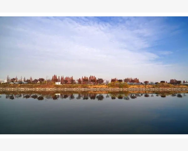 苏州会计实战从零到精通的学习路径
