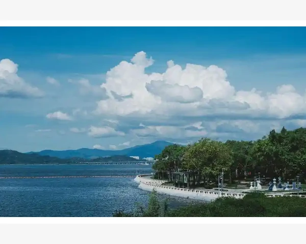 益母草加陈皮：中医千年智慧中的脾胃健康之辩